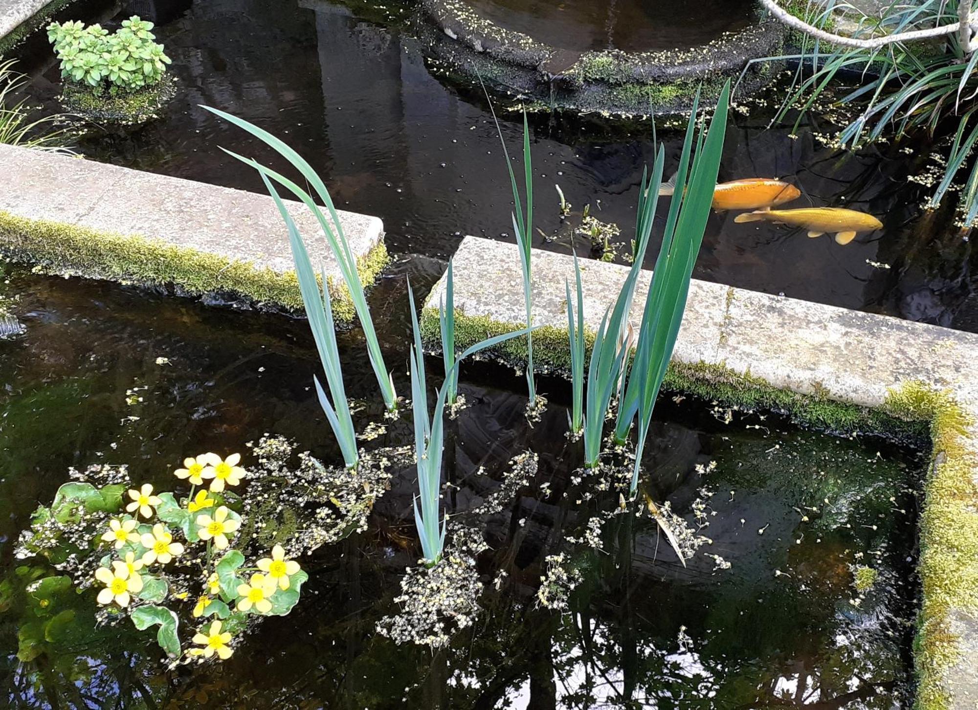 Et Tables D'hôtes Du Puits D'athie 3* Appoigny